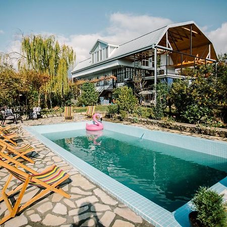 Chateau Dzveli Gavazi Hotel Akhalsopeli  Kültér fotó